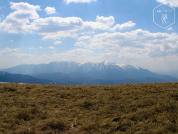 Canionul 7 Scări, Vârful Piatra Mare și Cascada Tamina