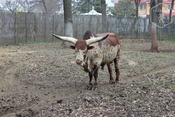 Zoo Brăila - o grădină mică, dar cu o diversitate mare de animale