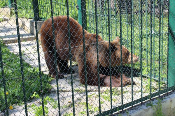 Zoo Bârlad - cea mai mare grădină zoologică din Moldova