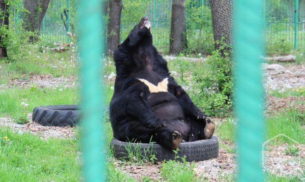 Zoo Pitești - o surpriză plăcută