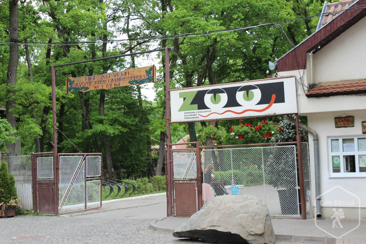 zoo