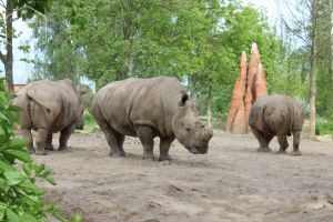 Cehia - Zoo Dvůr Králové, printre cele mai frumoase grădini zoologice din câte am văzut