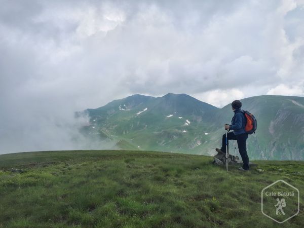 Dinspre Transfăgărășan spre Vârful Piscu Negru