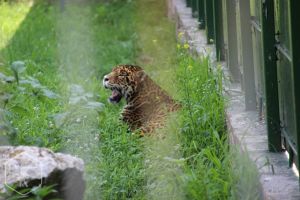 Zoo Râmnicu Vâlcea