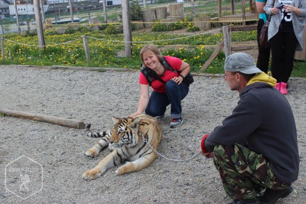Slovacia - Zoo Kontakt - locul unde poți simți iubirea de felină