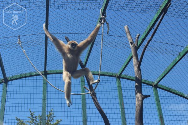 Slovacia - Zoo Spišská Nová Ves