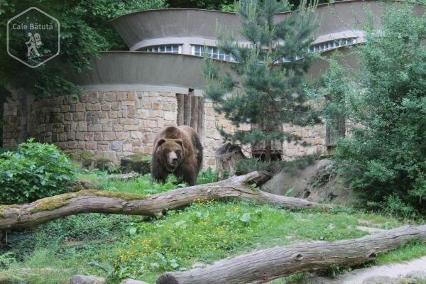Cehia - Zoo Děčín și Cascada Vanov