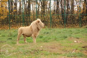 Zoo Ploiești