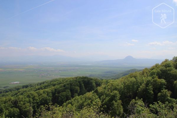 Cetatea Eroilor și Vârful Cetății din Munții Perșani