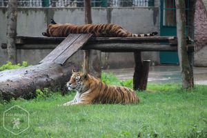 Zoo Craiova