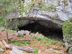 Padiș - Peșterile Ghețarul Vârtop, Coiba Mare și Coiba Mică