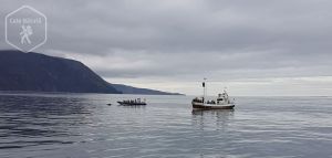 Islanda - Admirând balenele la Húsavík