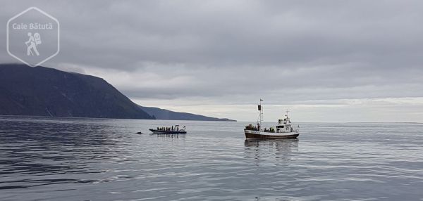 Islanda - Admirând balenele la Húsavík