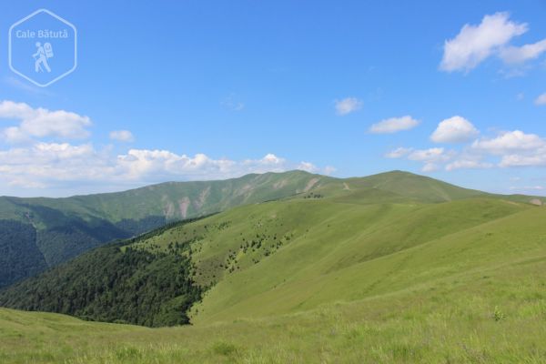 Creasta Baiului cu Răzvan la înălțime