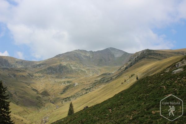 Vârful Lespezi - cel mai solicitant traseu din acest an