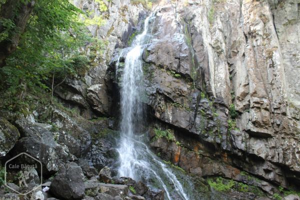 Bulgaria - În vizită pe Muntele Sofiei (Parcul Natural Vitosha)