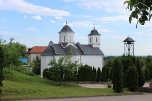 Mănăstirea Petkovica (Fruška Gora)