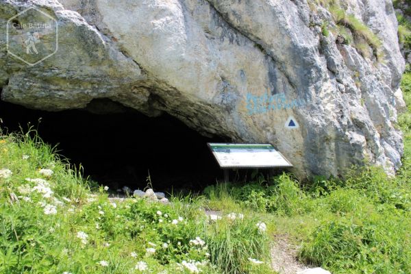 Peștera Stanciului