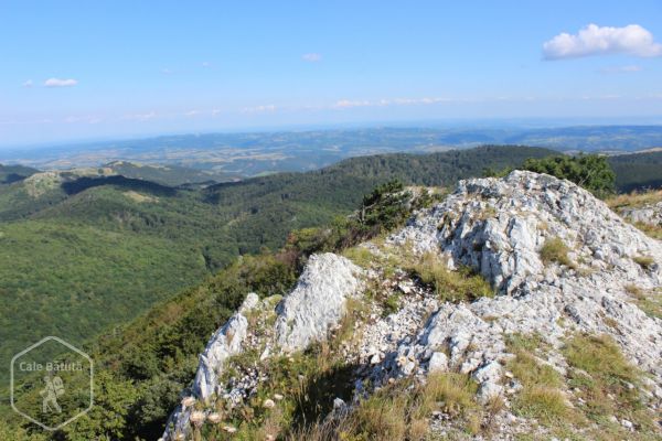 Vârful Domogledul Mare (1105 m)