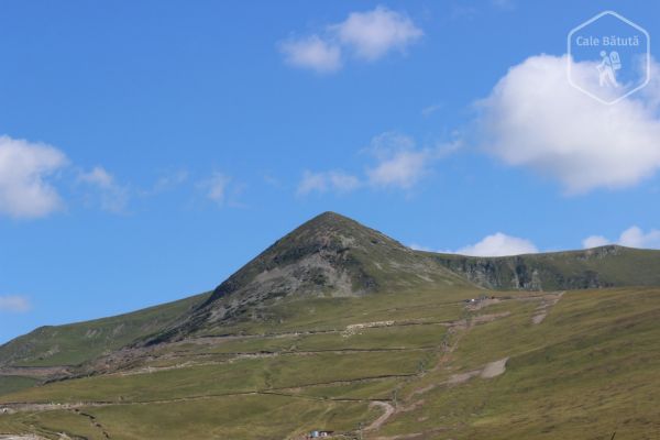 Vârful Păpușa din Munții Parâng (2135 m)