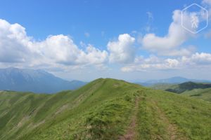 Vârful Baiul Mare (1895 m)