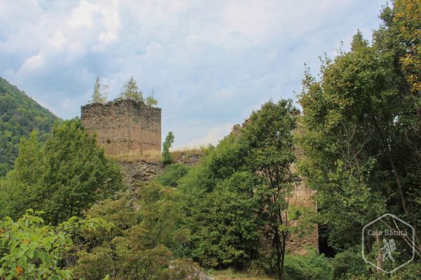 Cetatea Colț