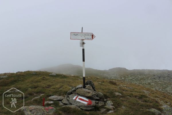 Vârful Roșu (2469 m)