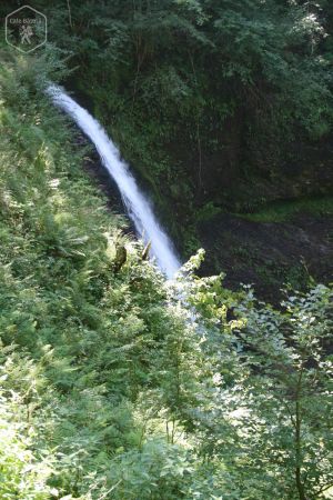 Cascada Săritoarea Ieduțului