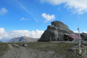 Vârful Omu (2505 m)