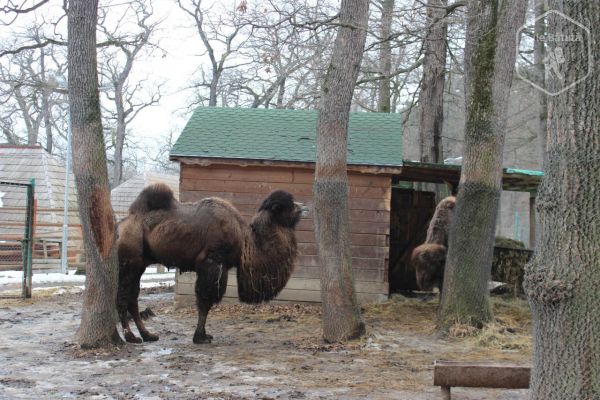 Grădina Zoologică Sibiu