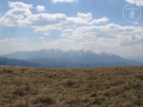 Vârful Piatra Mare (1844 m)