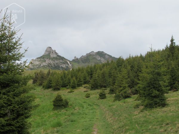 Vârful Ciucaș (1954 m)