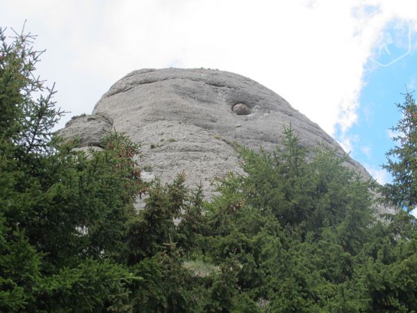 Porumbelul din Munții Ciucaș