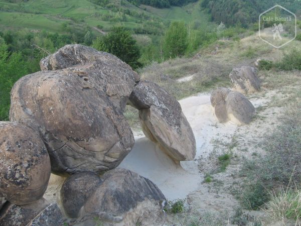 Trovanții din Ulmet - Bozioru