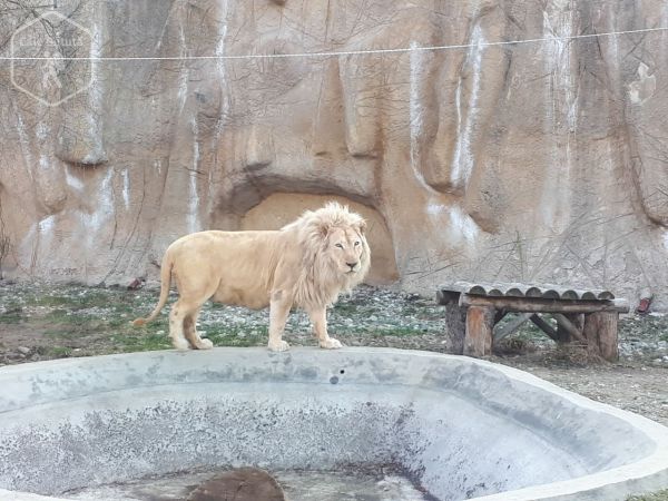 Zoo Brașov