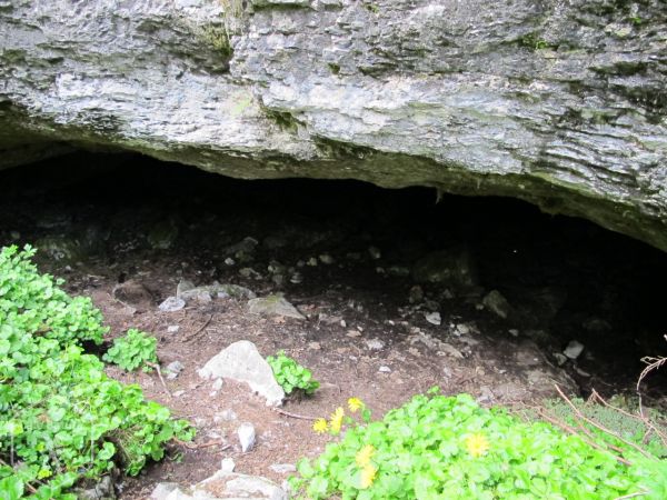 Peștera Uscată (Peștera Moloh)
