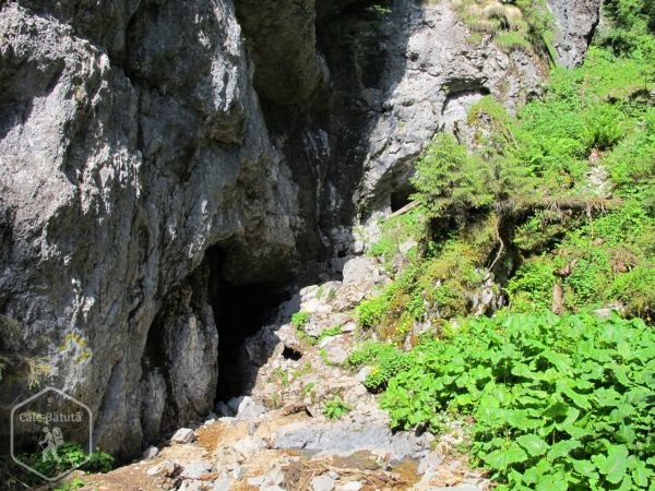 Peștera Neagră