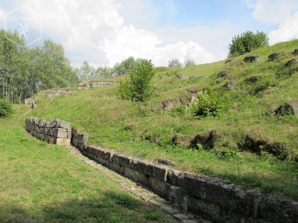 Cetatea dacică Blidaru