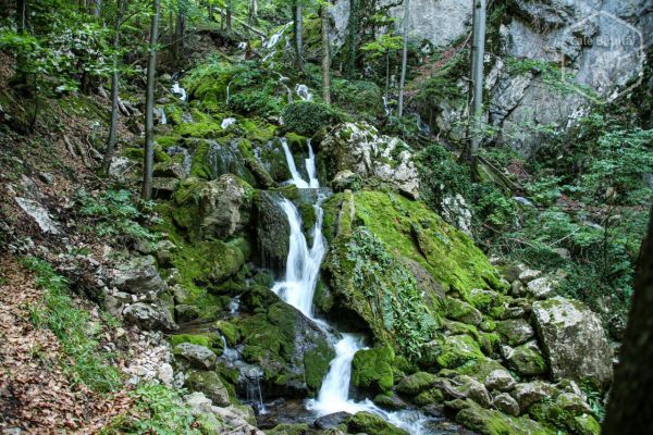 Cascadele Șipotului de pe Valea Streiului (Hunedoara)