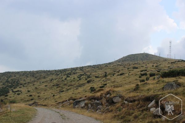 Vârful Găina (1486 m)