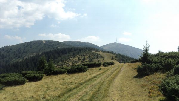 Vârful Bihorul Mare (1849 m)