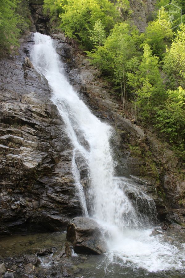 Cascada Lotrișor