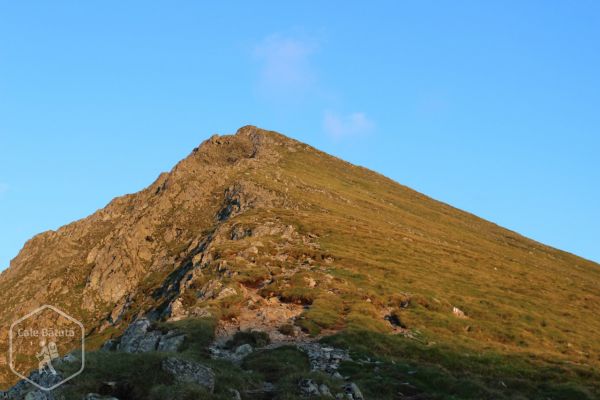 Vârful Viștea Mare (2527 m)