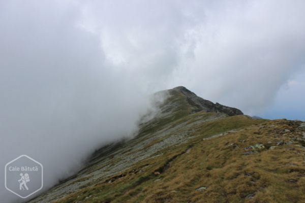Vârful Cârja (2405 m)