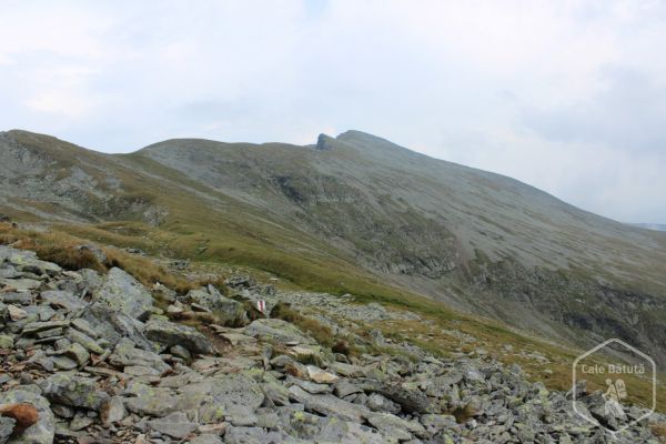 Vârful Gemănarea (2426 m)