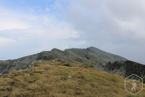 Vârful Stoienița (2421 m)