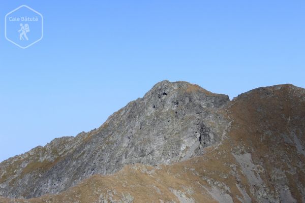 Vârful Vânătarea lui Buteanu (2507 m)