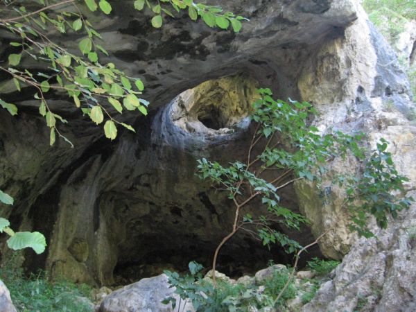 Peștera Văleaga