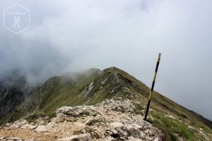 Vârful "La Om" (2238 m)