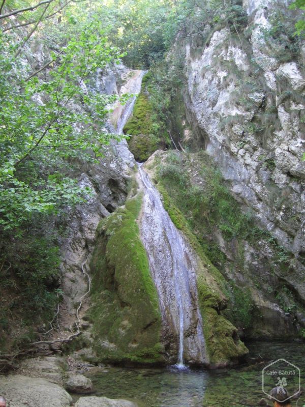 Cascada Șușara